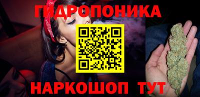 прущие крисы Бузулук